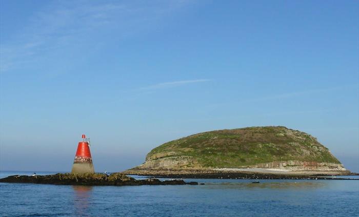Puffin Island Seacoast Safaris